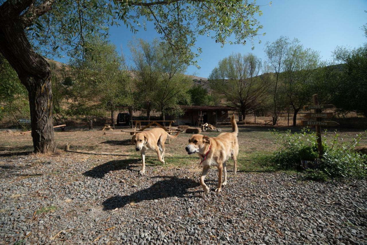 Orias Guesthouse & Farm Kalavryta Exterior foto